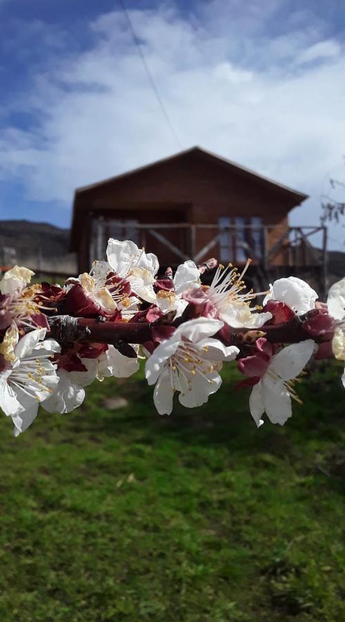 Sol De La Patagonia Bed & Breakfast Puerto Guadal Exterior photo